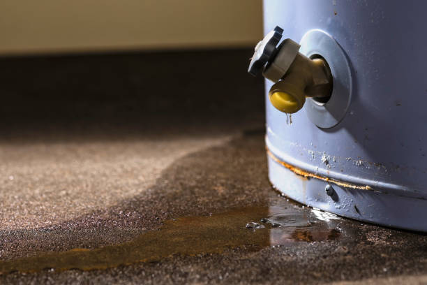 Best Residential water damage restoration  in Clifton, NJ