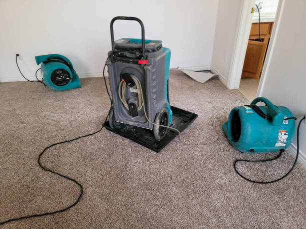 Best Water damage restoration near me  in Clifton, NJ