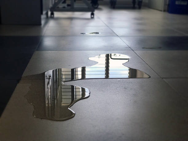 Best 24/7 water damage repair  in Clifton, NJ