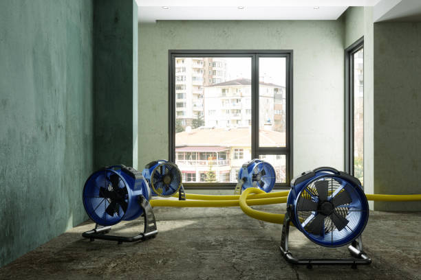 Best 24-hour water damage restoration  in Clifton, NJ